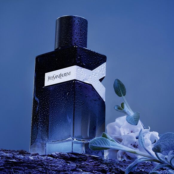 Our 5 Best Perfumes for Men Male Fragrances YSL Beauty UK
